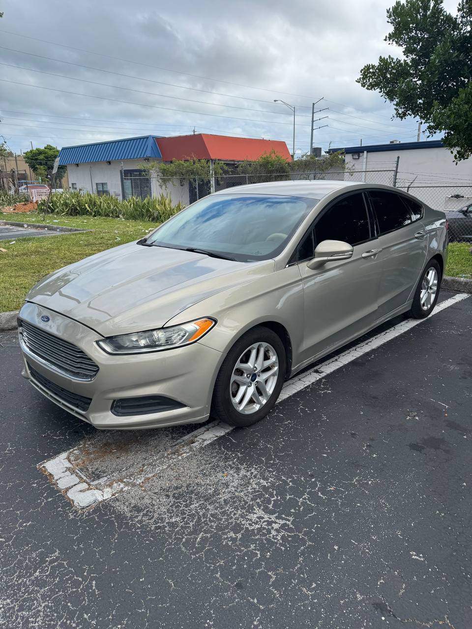 2016 Ford Fusion SE Gallery Image